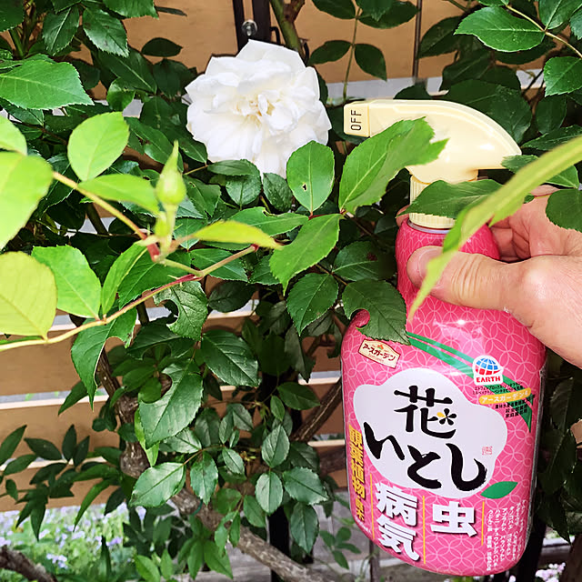 KYONさんの部屋