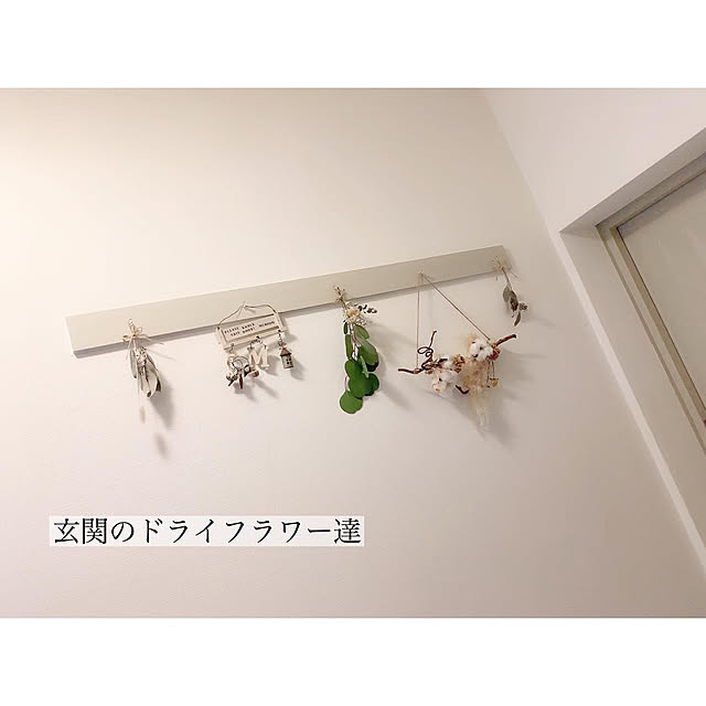 chaluさんの実例写真