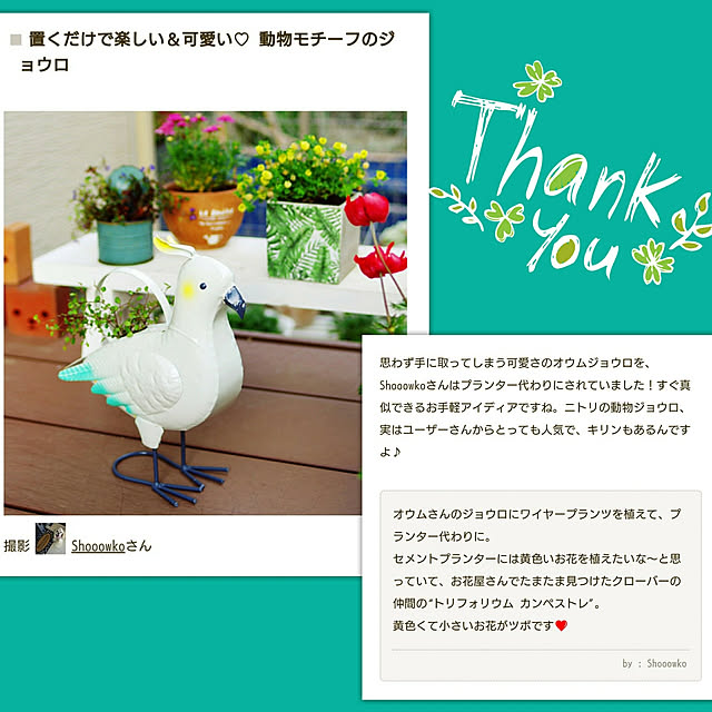 Shooowkoさんの実例写真