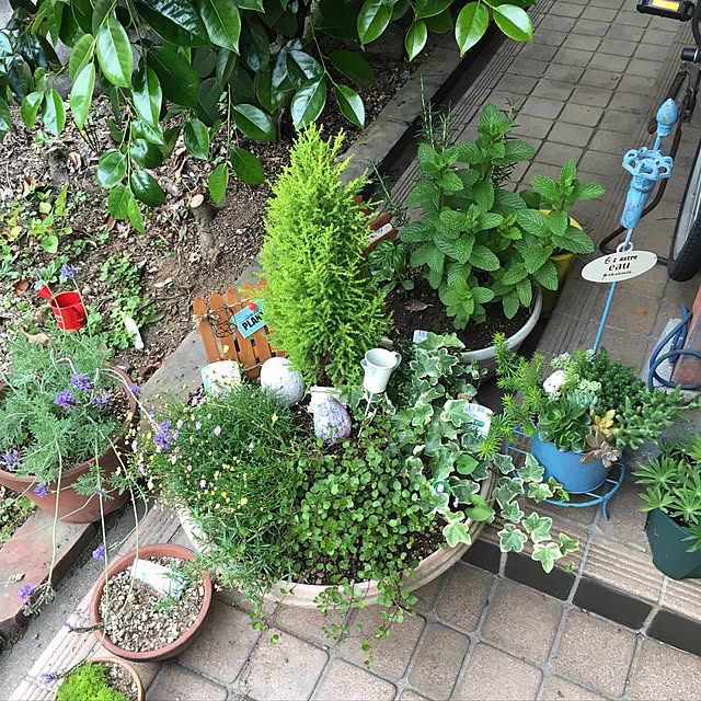 Ryosukiさんの実例写真