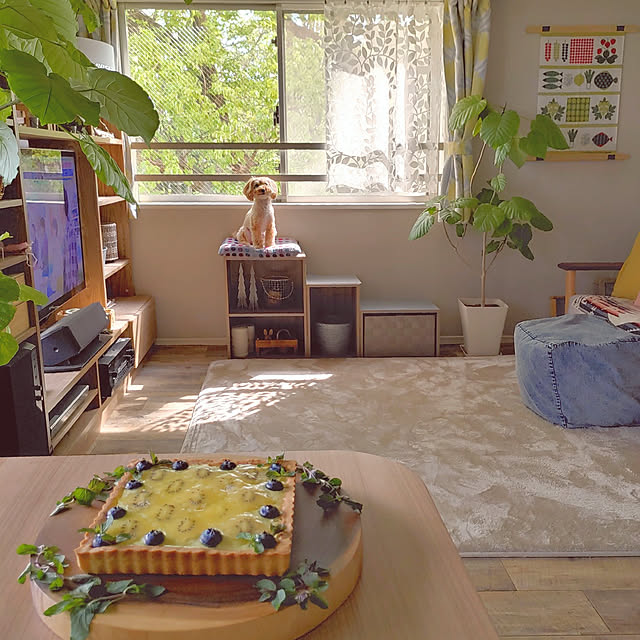 masumixさんの実例写真