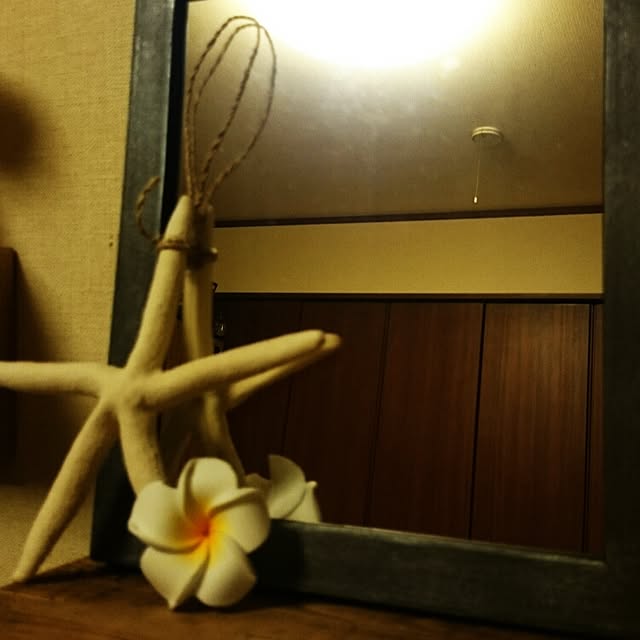 erikaiwspさんの実例写真
