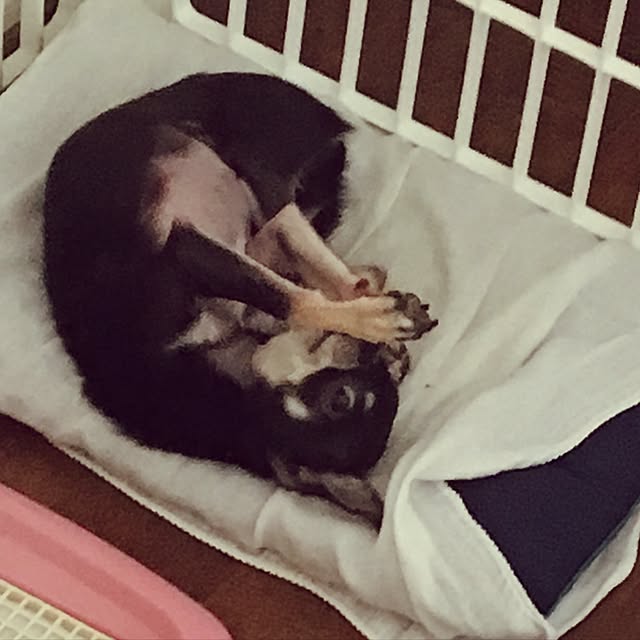 yu_meさんの実例写真