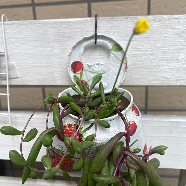 YuuKoさんの実例写真