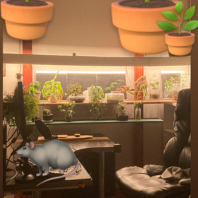 実例写真