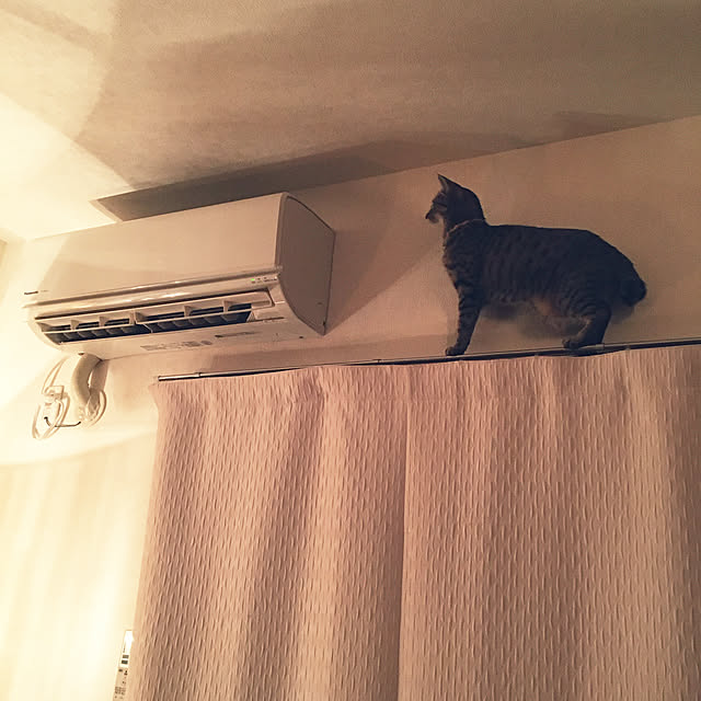 Mさんの実例写真