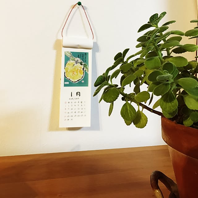 kokko3さんの実例写真