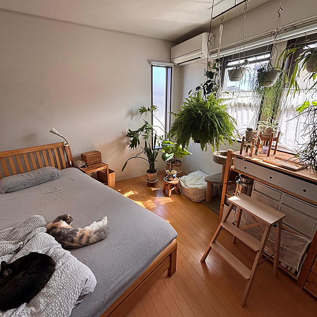 greycatsさんの部屋