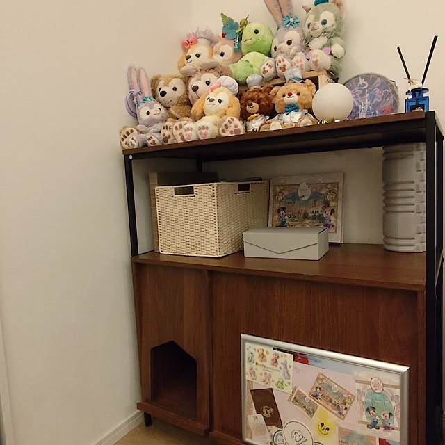 zm3443さんの実例写真