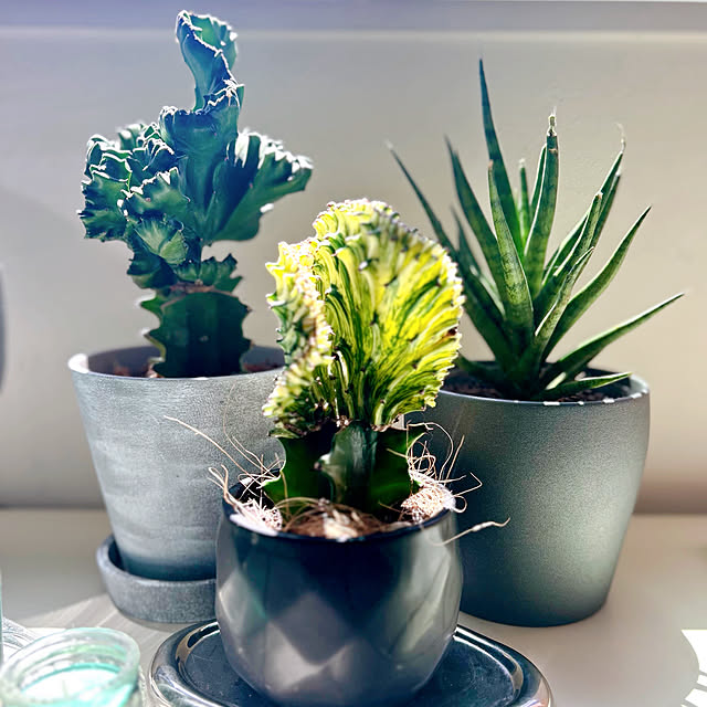 mako2yaさんの実例写真