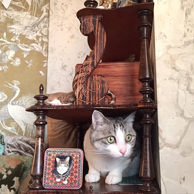 emmyyさんの実例写真