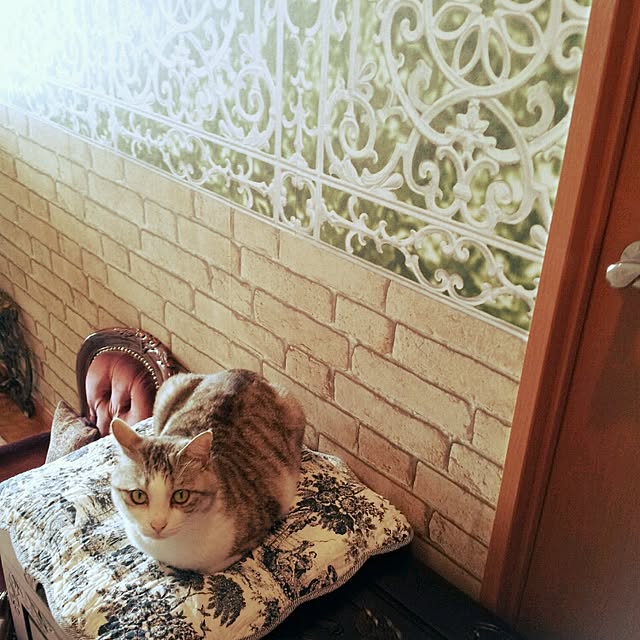 emmyyさんの実例写真