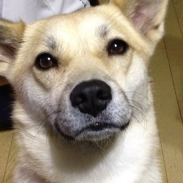 leonaさんの実例写真