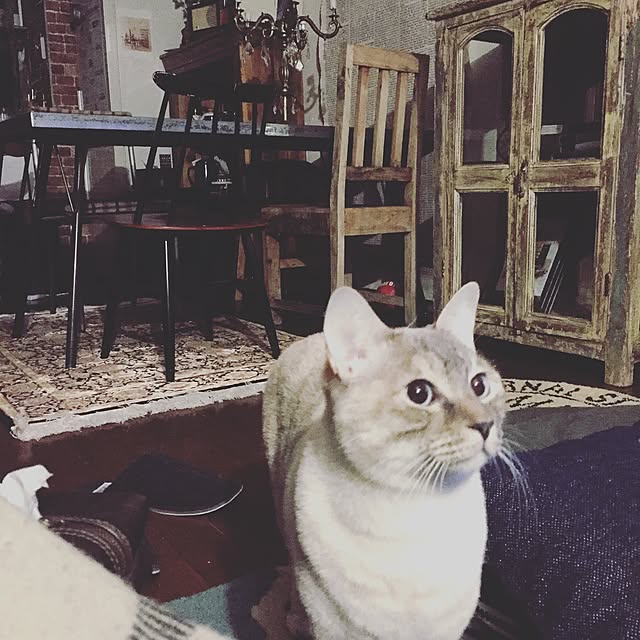 Naoki.さんの実例写真