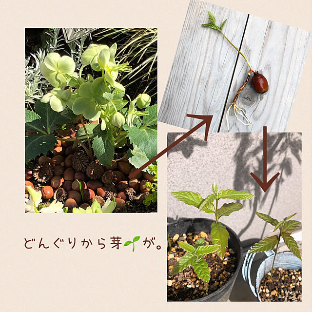 kyoko1124koさんの実例写真
