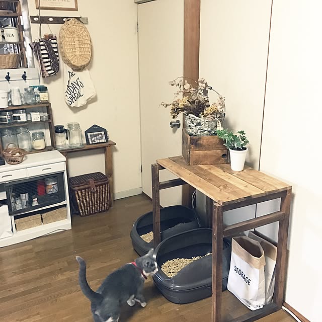 mucc08さんの実例写真