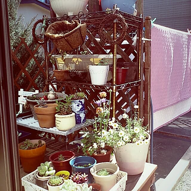 asa0521さんの実例写真