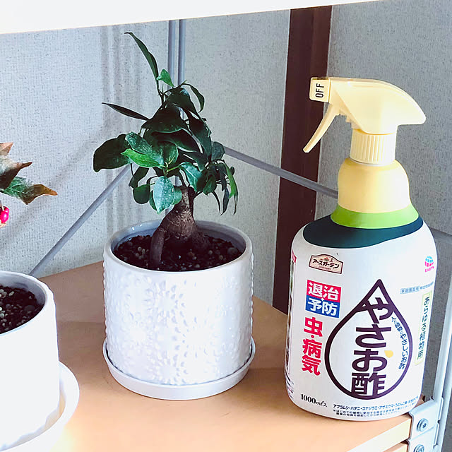 hanachanさんの部屋