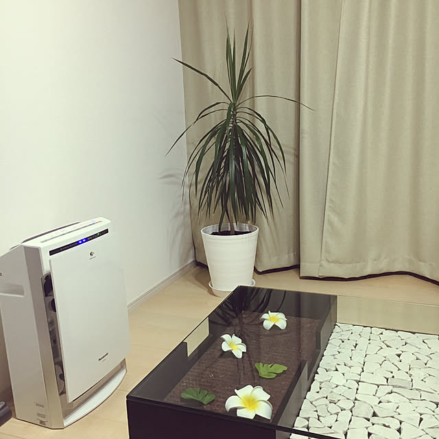 リビング/観葉植物のインテリア実例 - 2017-08-14 07:42:24