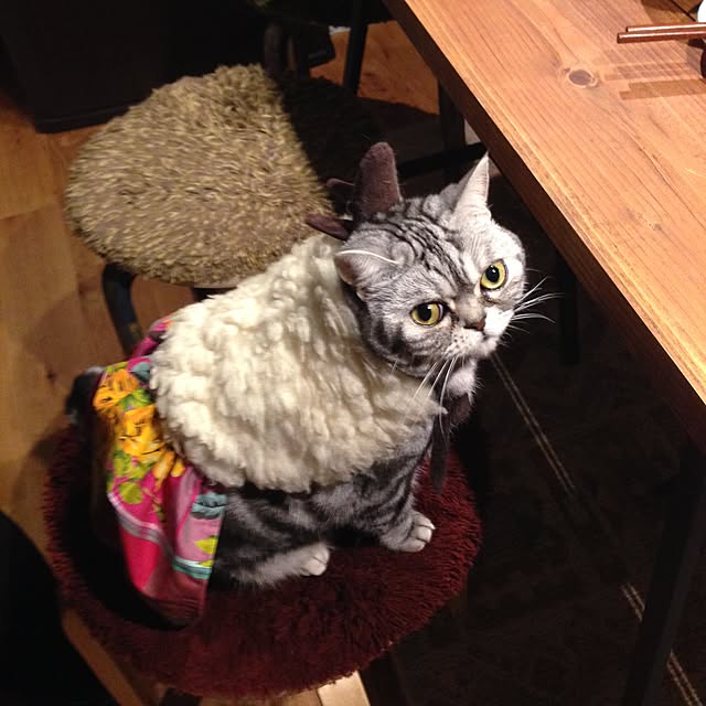 fuku48さんの実例写真