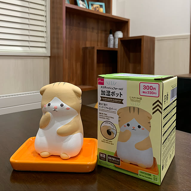 加湿器/Daiso/LIXIL/ラシッサDフロア チークF/猫と暮らす...などのインテリア実例 - 2021-11-03 18:36:03