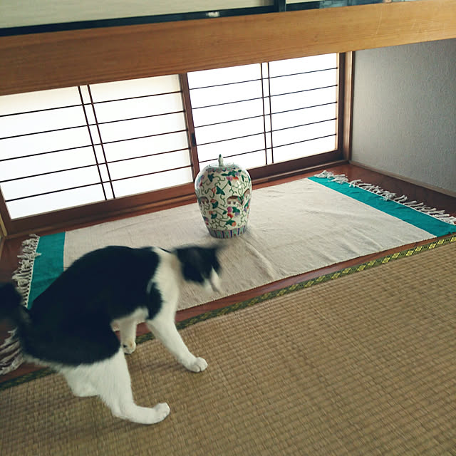 uchizukonyanさんの実例写真