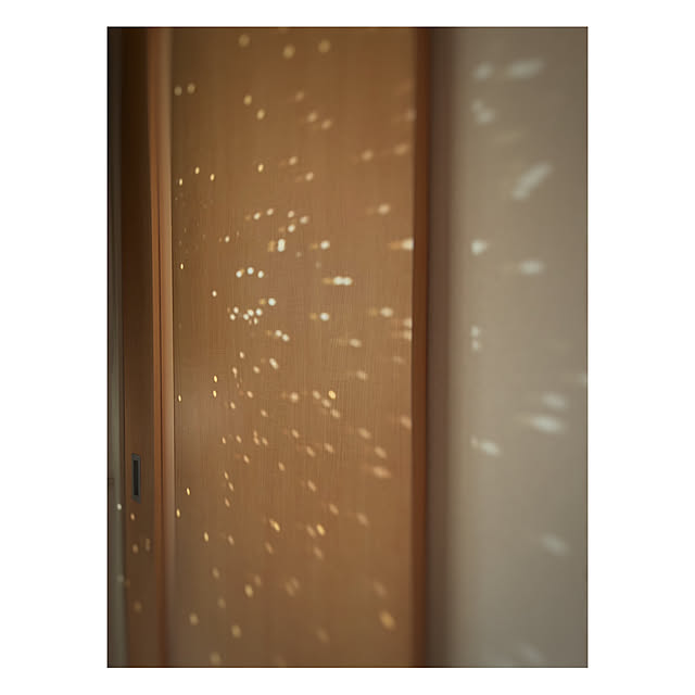 Oriorioさんの部屋