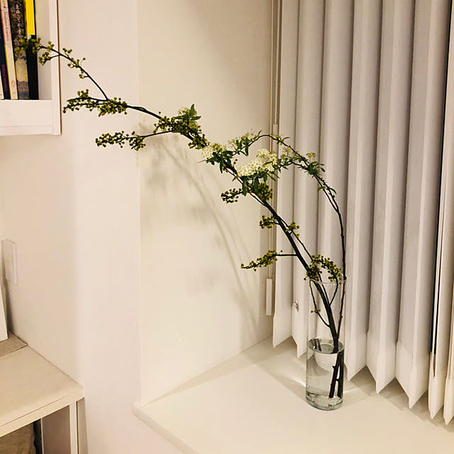 棚のインテリア実例 - 2019-01-29 10:19:57