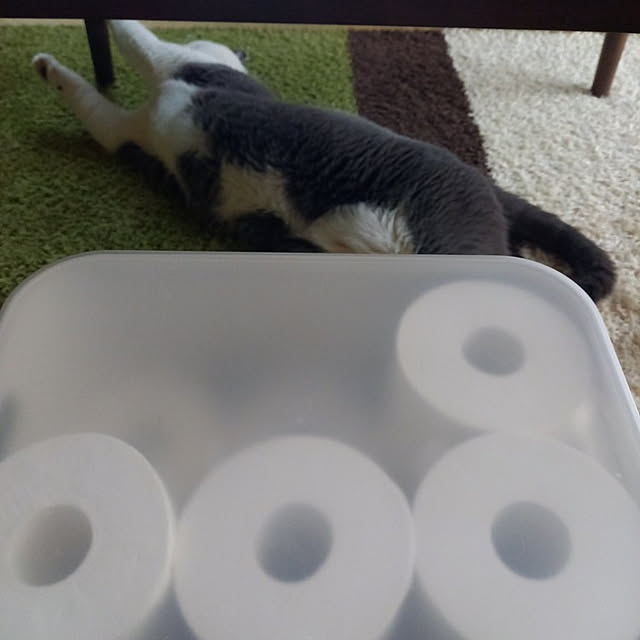 rhuさんの実例写真