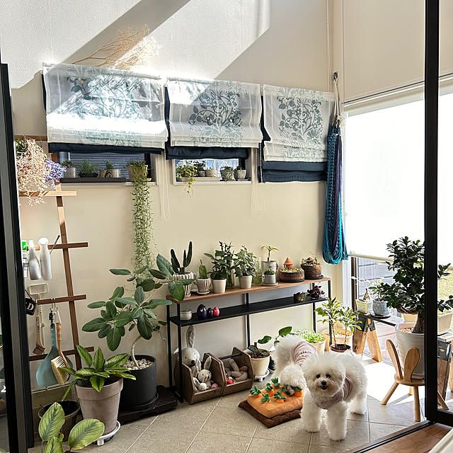 fuafuaさんの部屋