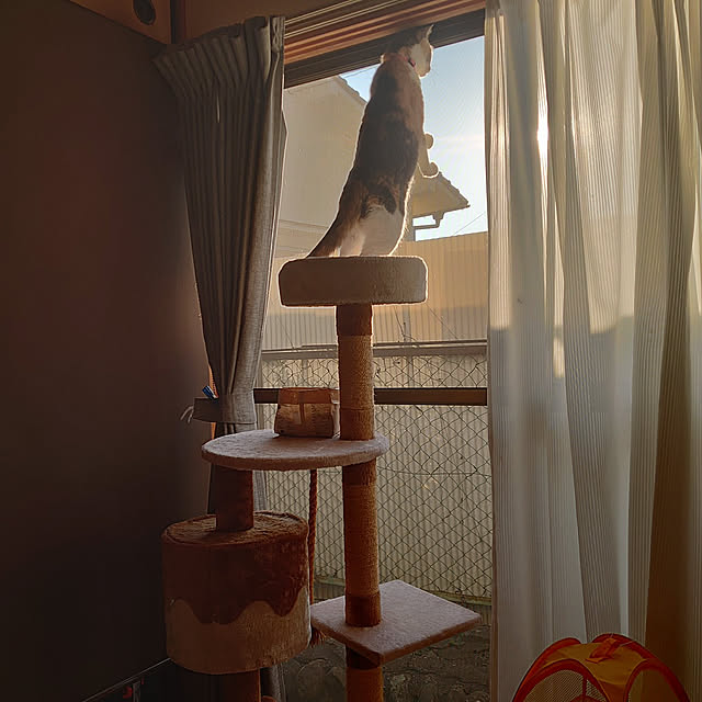 fukuさんの実例写真