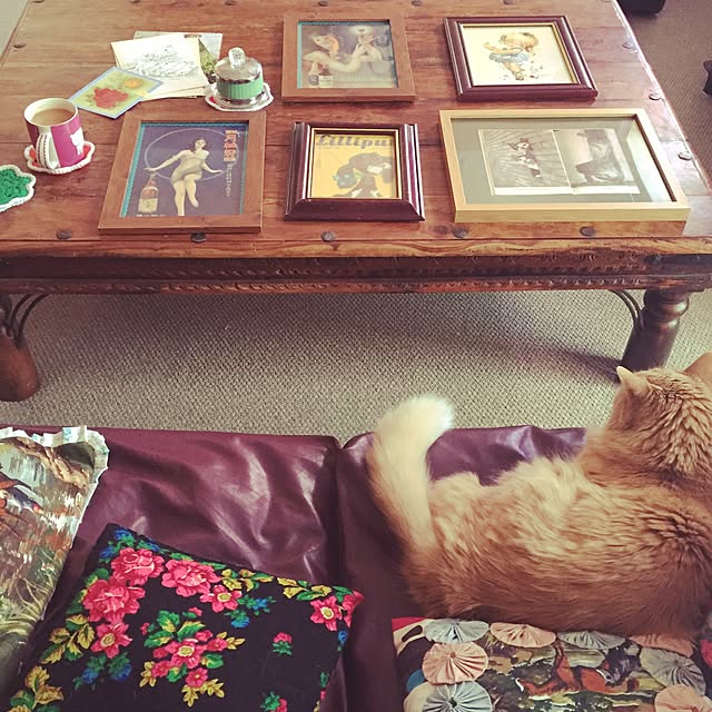 nekohigeさんの実例写真