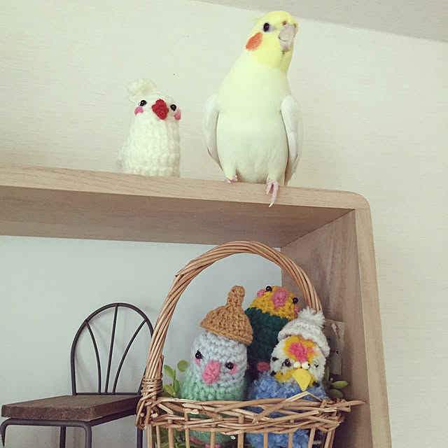 toratanさんの実例写真