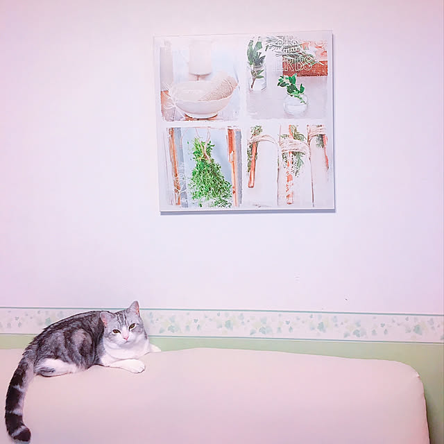 mame-minさんの実例写真