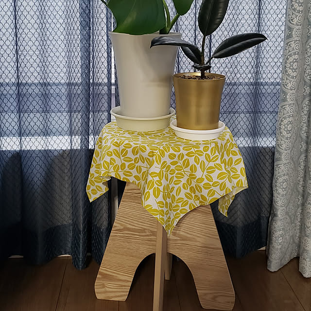 saku2512さんの実例写真