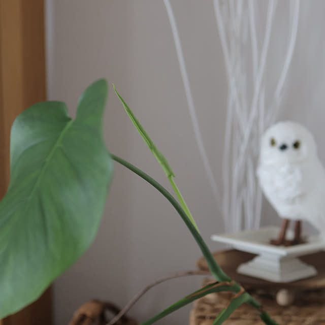 Summerさんの部屋