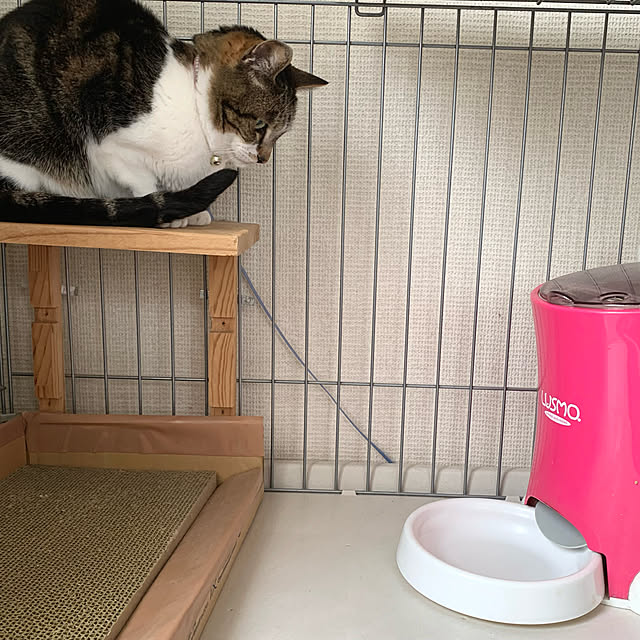 mariさんの実例写真