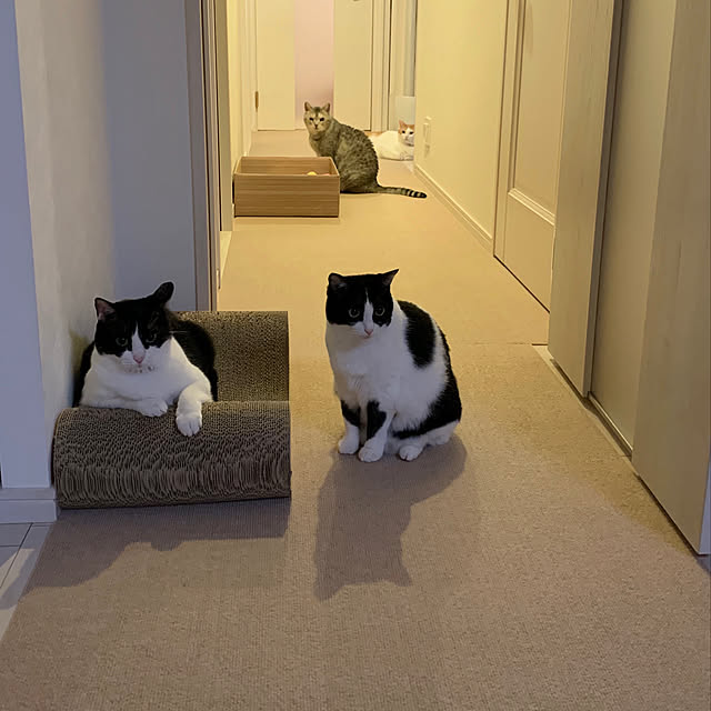 bikkeさんの実例写真