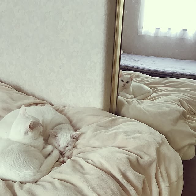 poppoさんの実例写真
