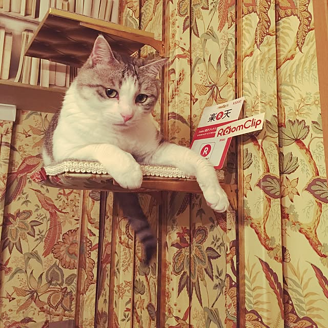 emmyyさんの実例写真