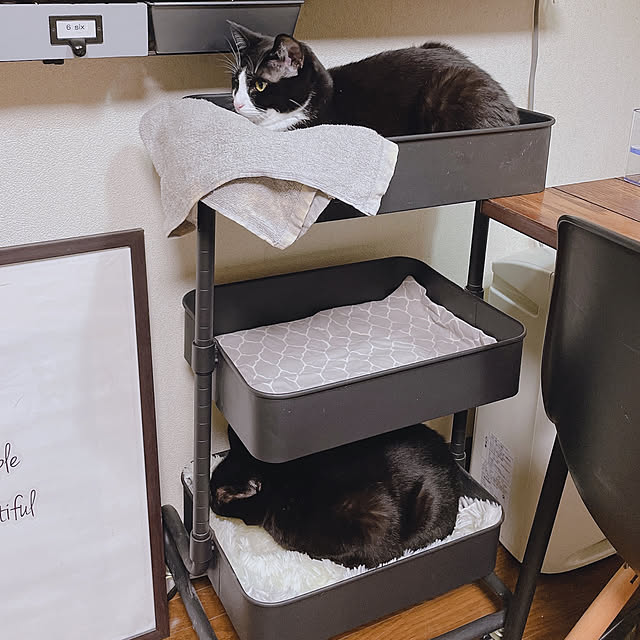 mahi1101さんの実例写真