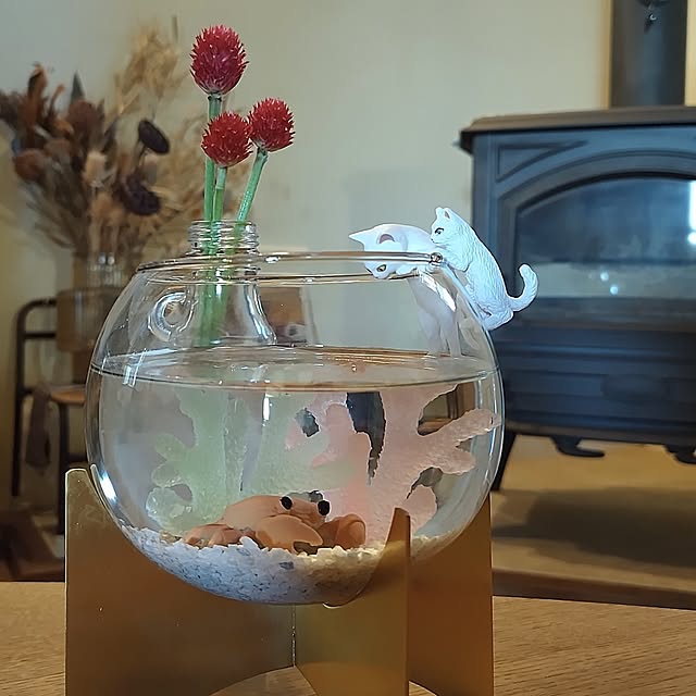 t.yumiさんの実例写真