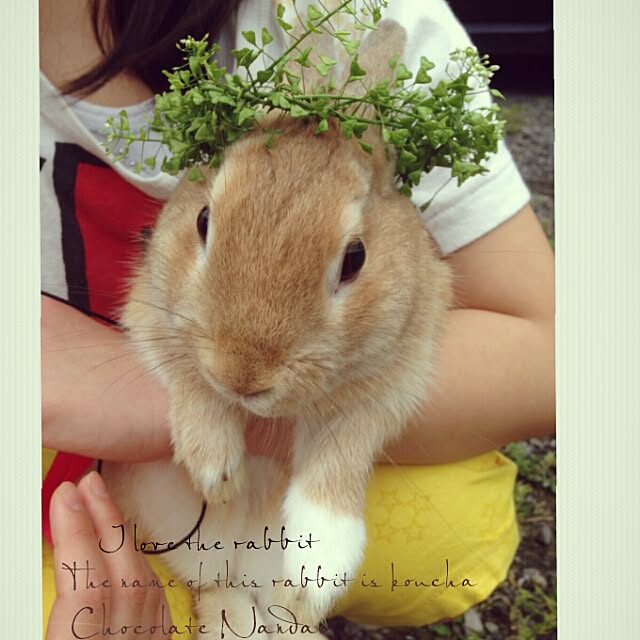 ChocolateNandasさんの実例写真