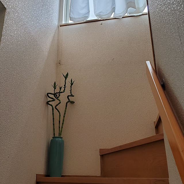 pyonpyonさんの実例写真