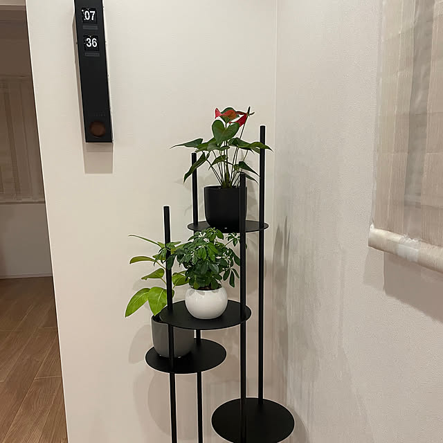 SUNさんの部屋