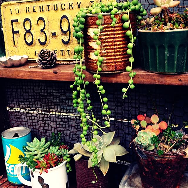 ricocotanさんの実例写真