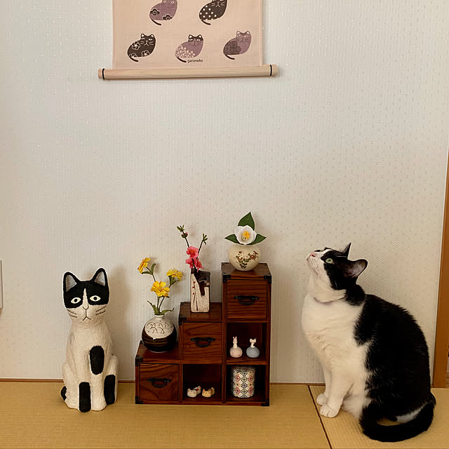 bikkeさんの実例写真