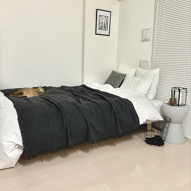 pocoさんの実例写真