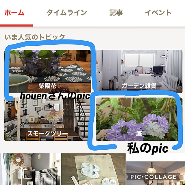 houenさんと一緒♡/ガーデニング♡/植物のある暮らし/あせび/心地よい暮らし...などのインテリア実例 - 2021-06-14 19:36:22