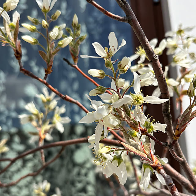 lalalaさんの部屋